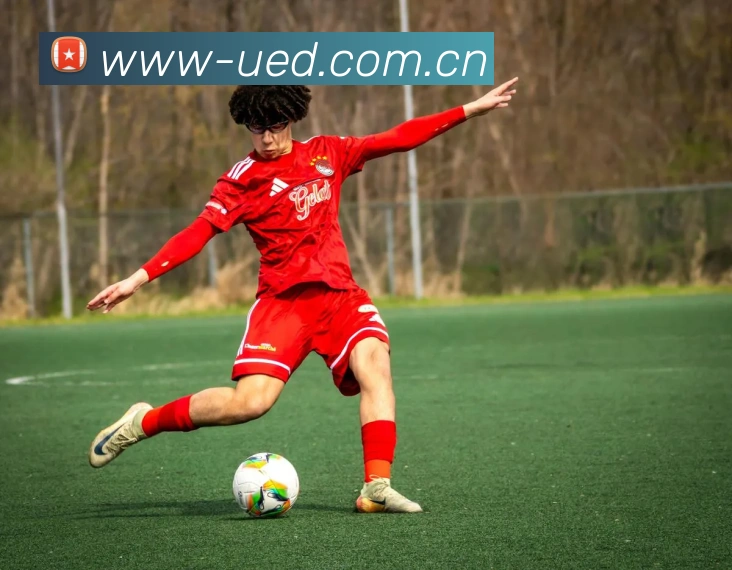 UED国际平台介绍